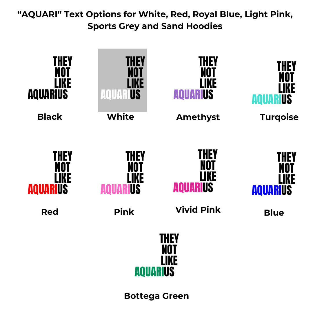 Aquarius They Not Like Us Hoodie ("They Not Like Us" Black Text)