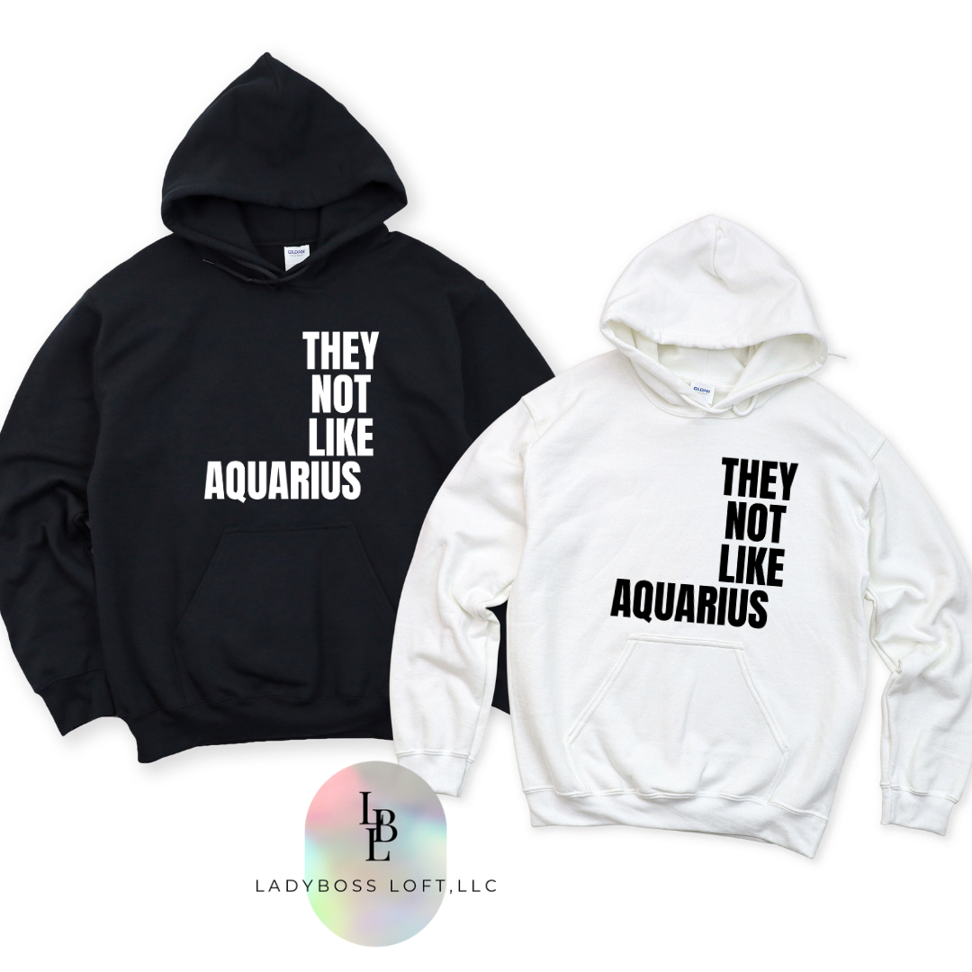 Aquarius They Not Like Us Hoodie ("They Not Like Us" Black Text)