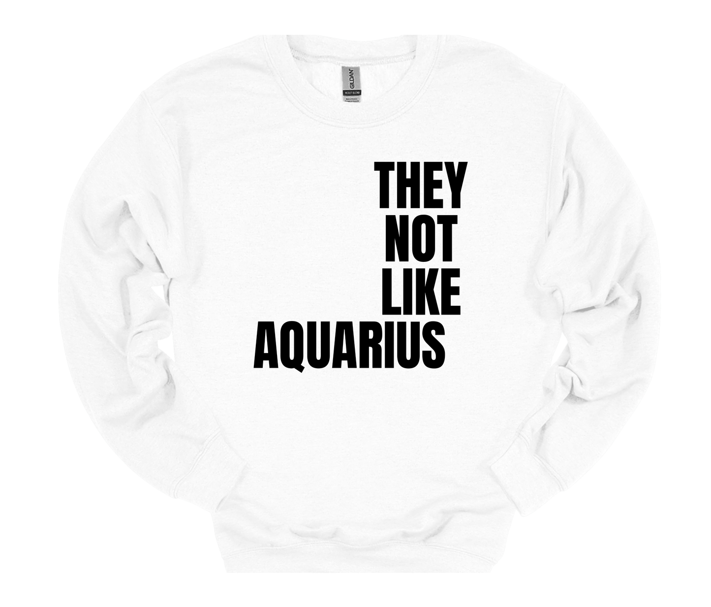 Aquarius They Not Like Us Crewneck/Sweatshirt ("They Not Like Us" Black Text)