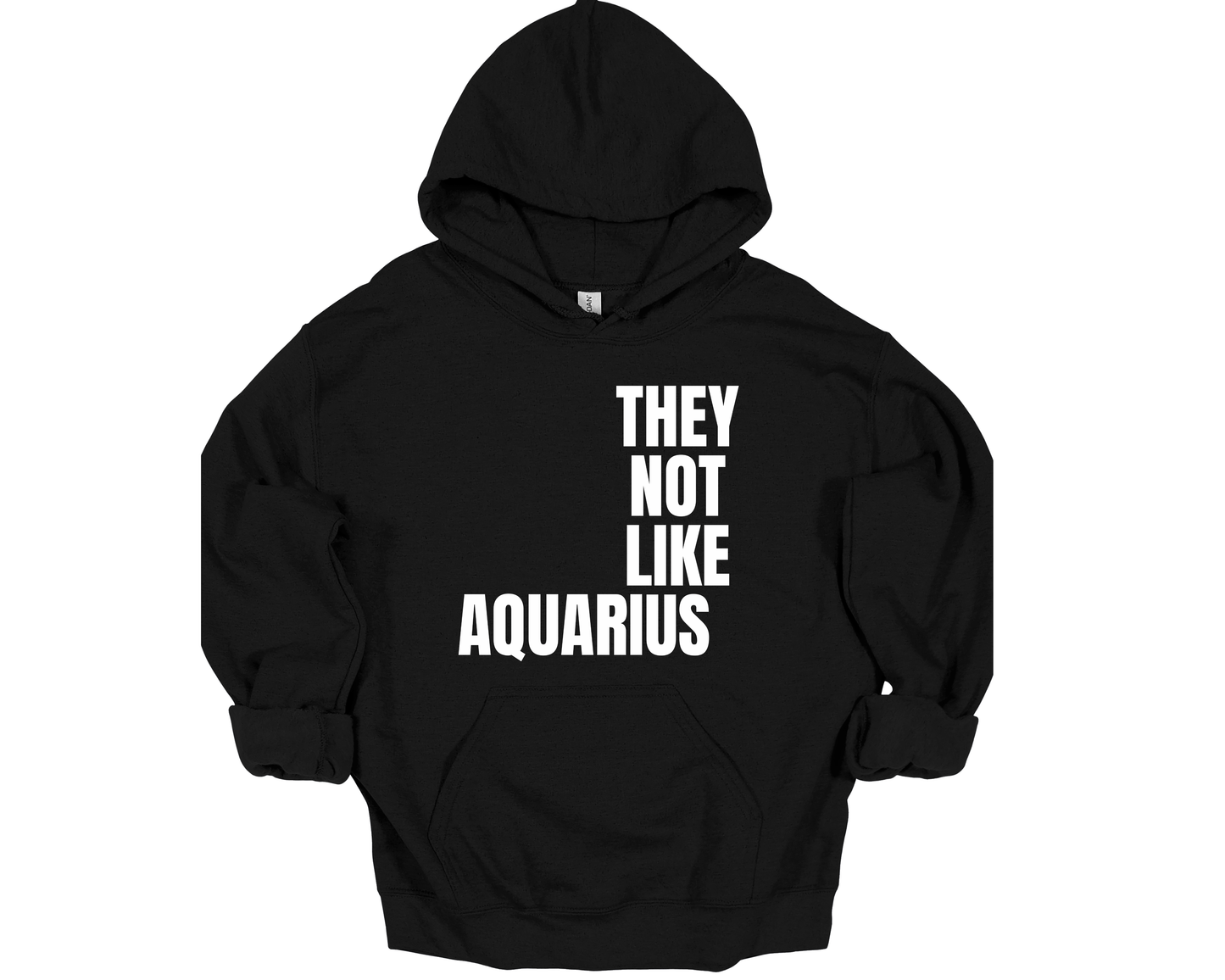 Aquarius They Not Like Us Hoodie ("They Not Like Us" White Text)