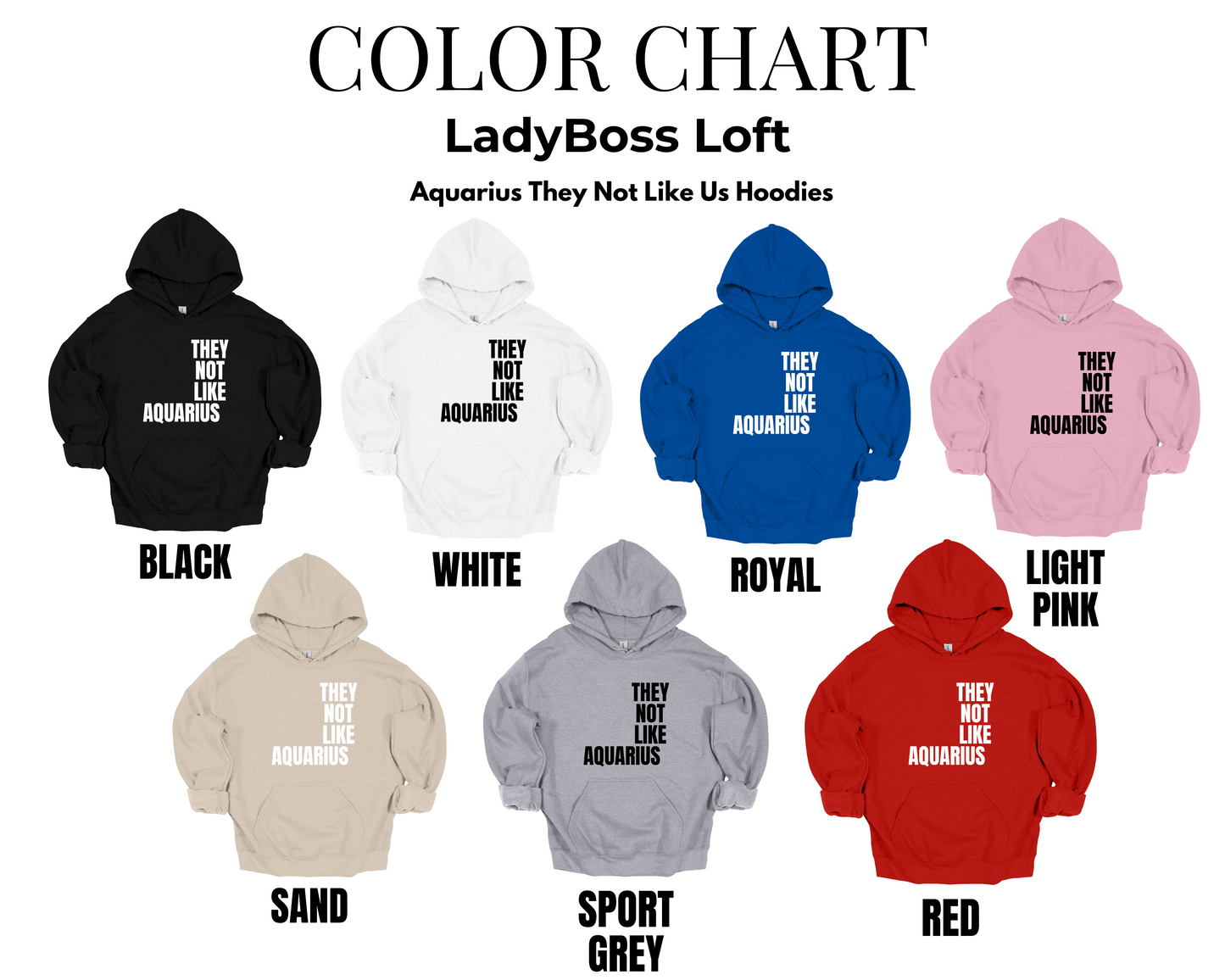 Aquarius They Not Like Us Hoodie ("They Not Like Us" Black Text)